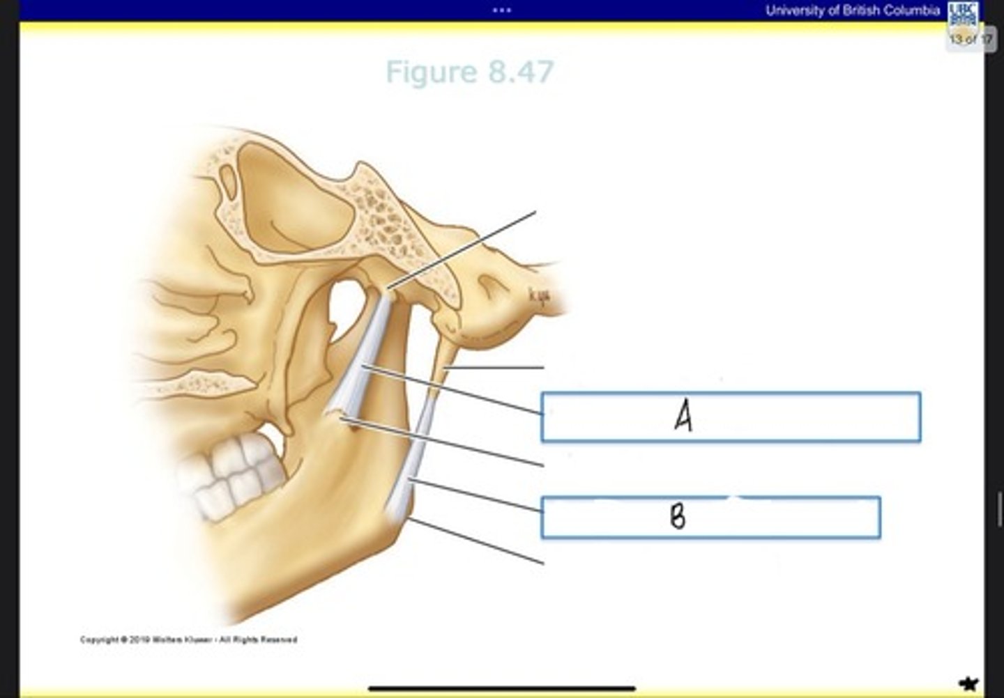 <p>What is B?</p>
