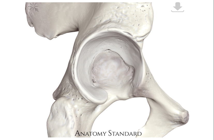 <p>Hoe heet deze kom?</p>