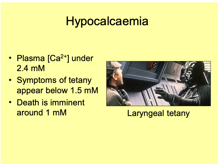 <p>Concentration >2.4mM</p><ul><li><p>lead to depression of nervous and muscular activity</p></li><li><p>If rise ABOVE 3mM</p><ul><li><p>calcium salts<strong> precipitate out</strong></p><ul><li><p>E.g calcium phosphate or calcium oxalate kidney stones</p></li></ul></li></ul></li><li><p>SEVERE: fatal → but this is unusual!</p></li></ul><p><em>painful and unpleasant but not usually fatal!</em></p>