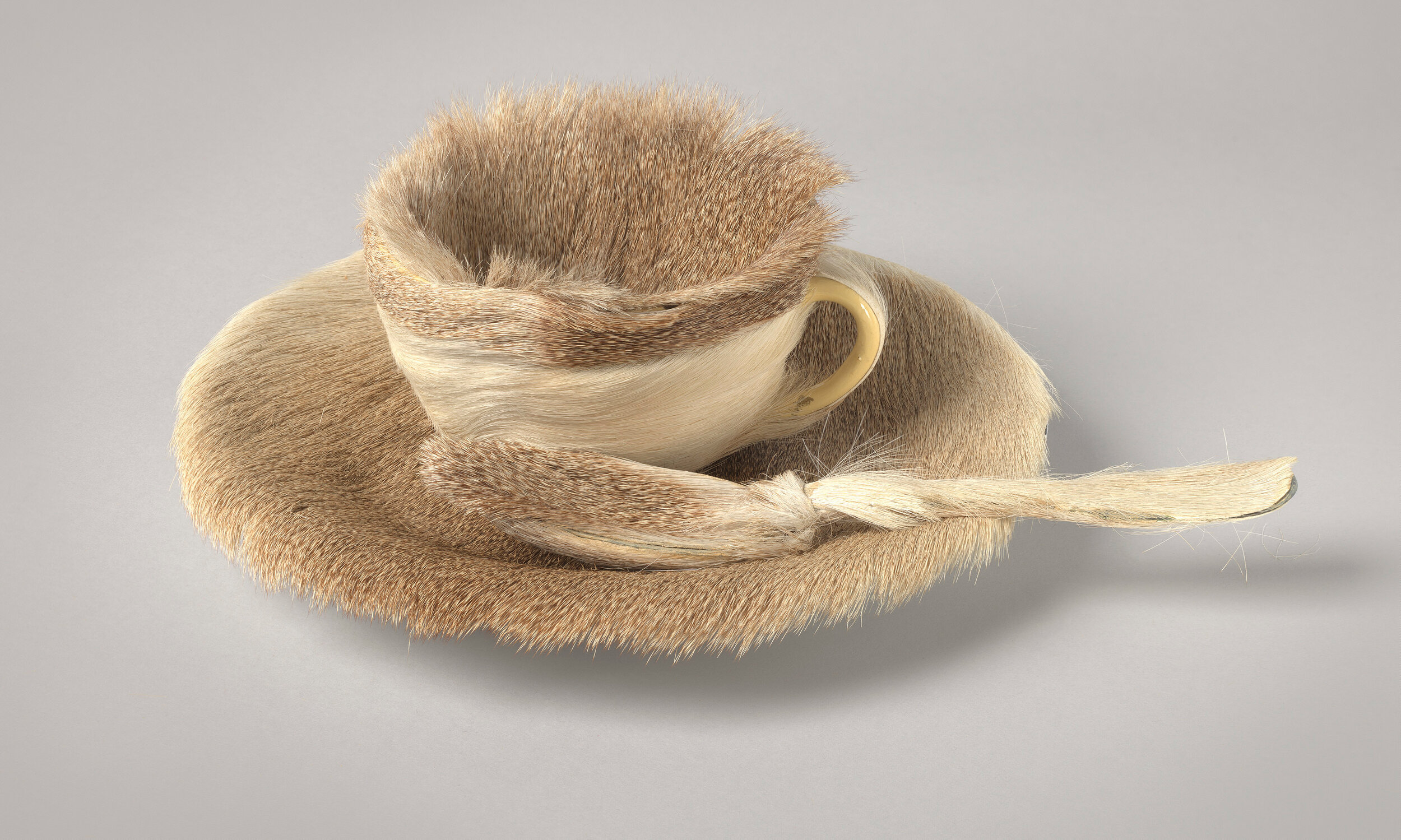 <p>Object</p>