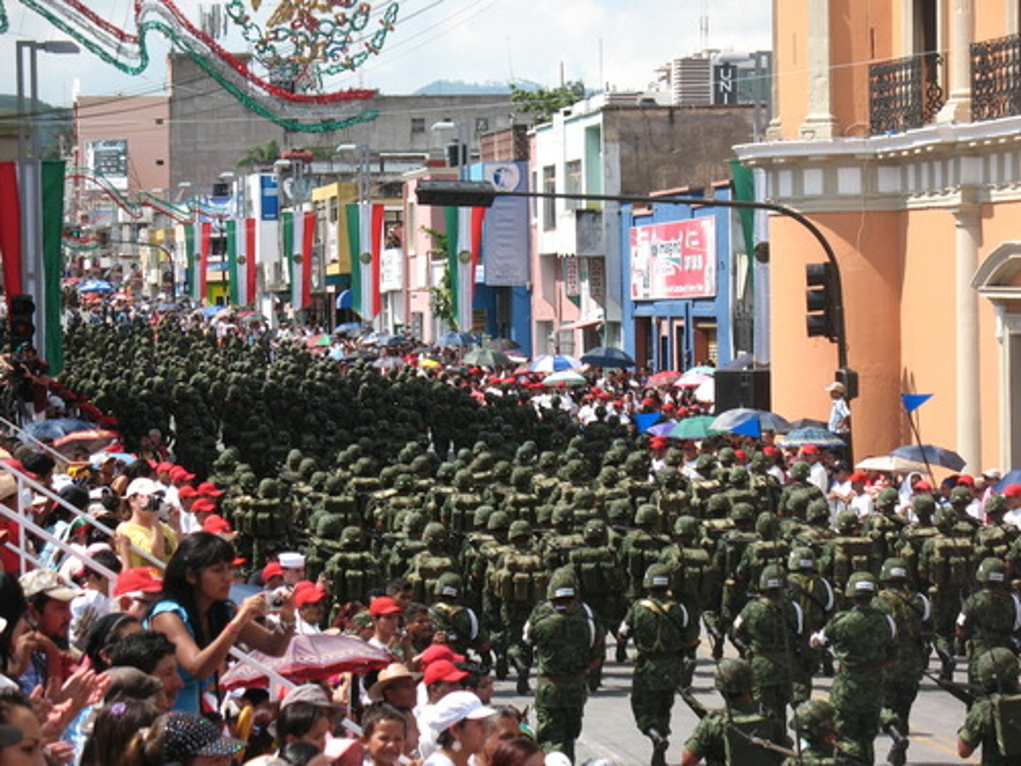 <p>the army</p>