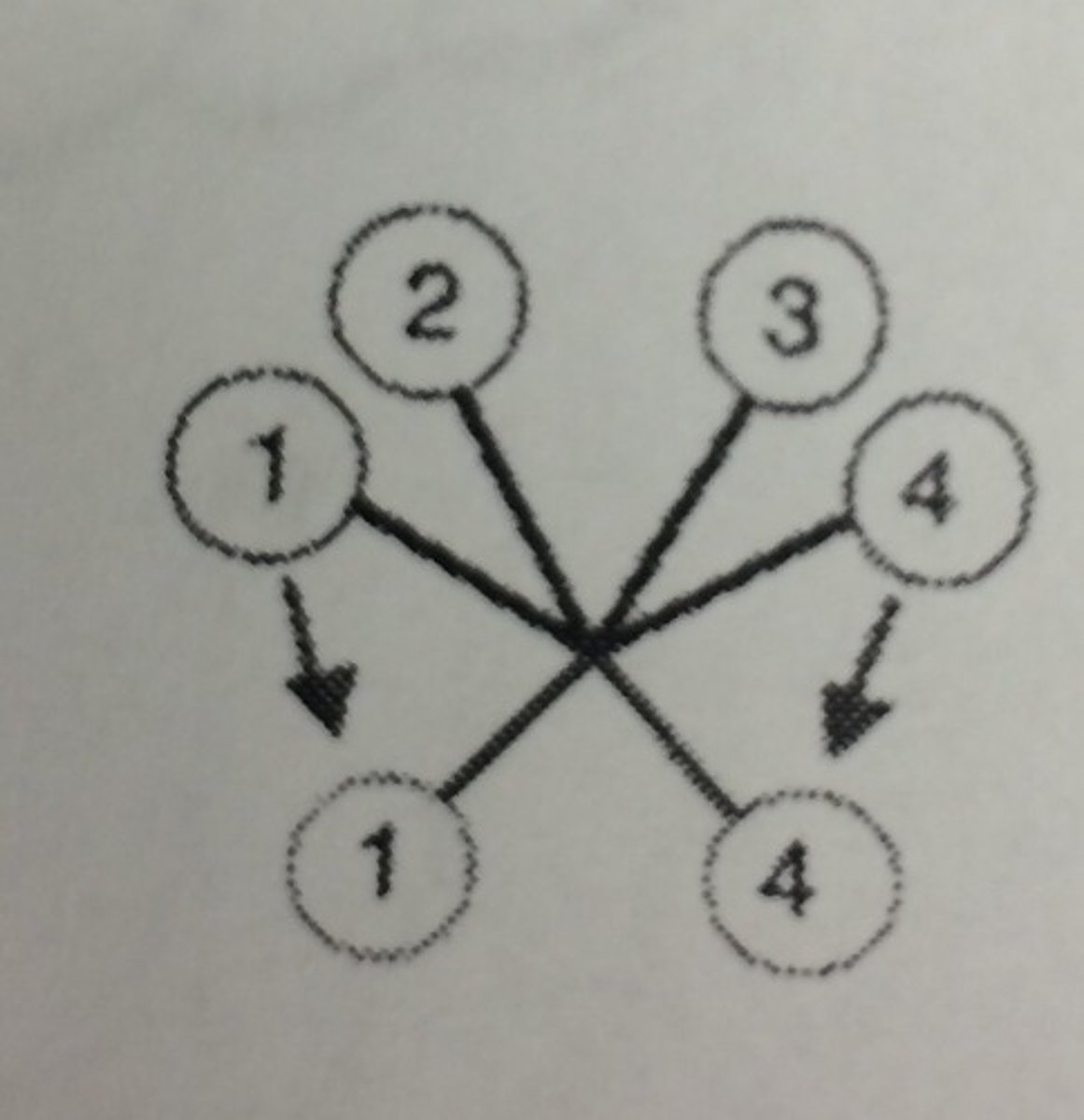<p>all toes forward (1st toe and hallux can pivot from front to back) Ex: most swifts</p>