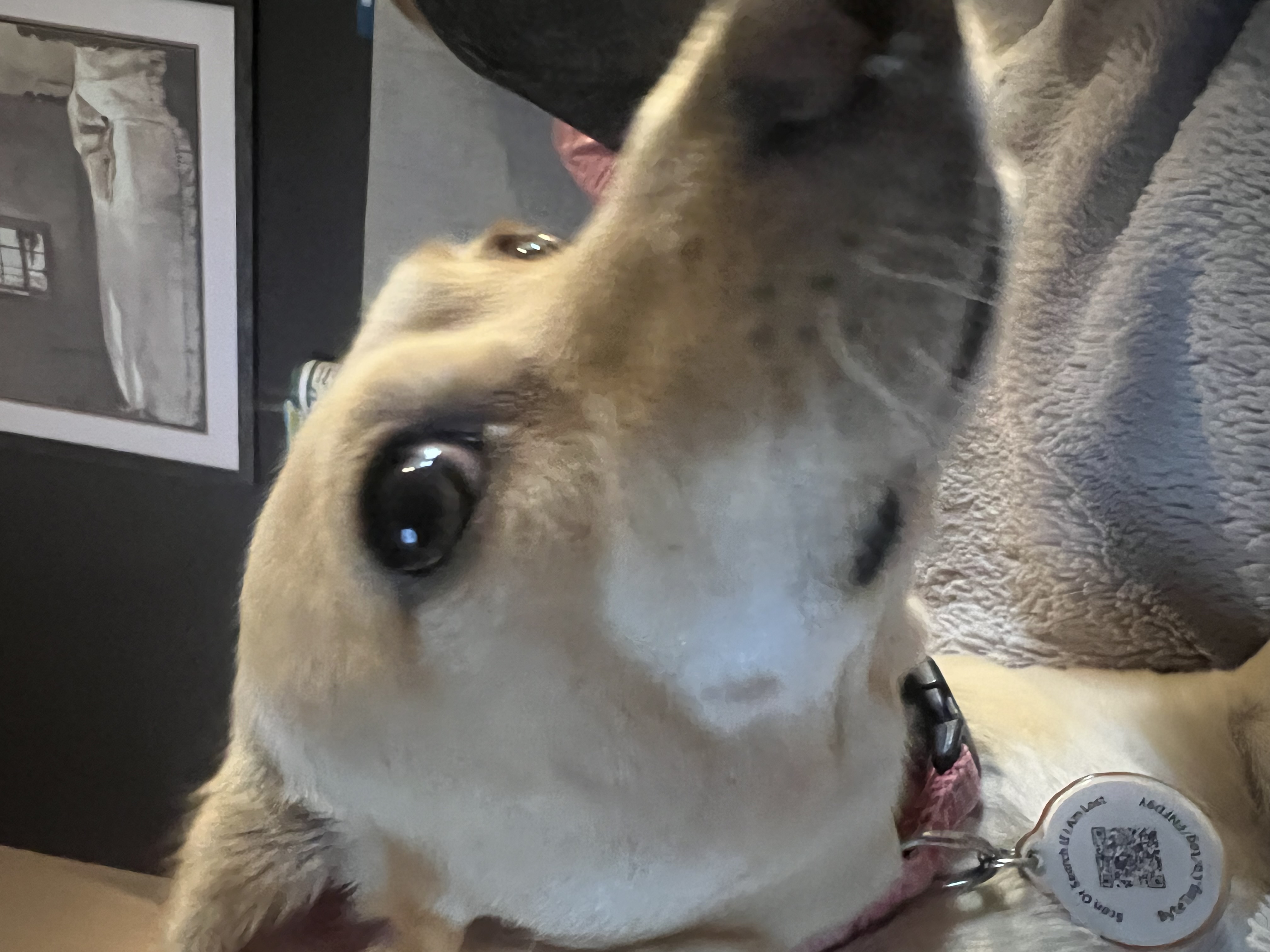 <p>How is RNA read? </p>