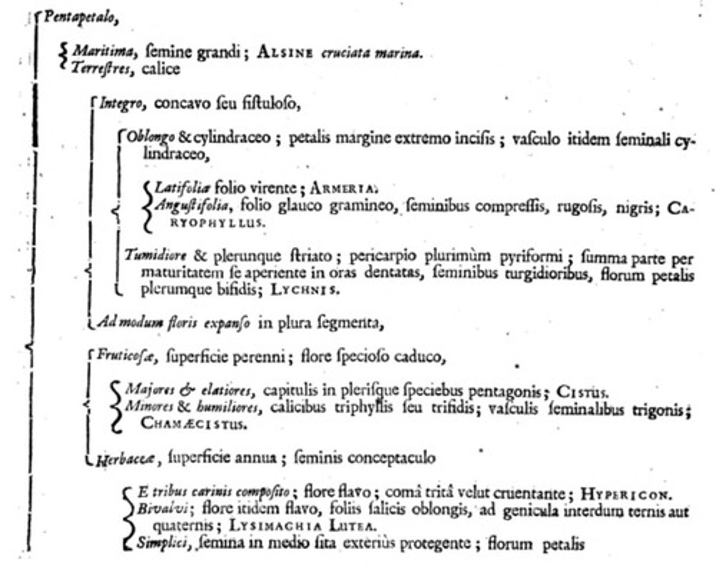 <p>Linnaeus' work, foundational for biological classification.</p>