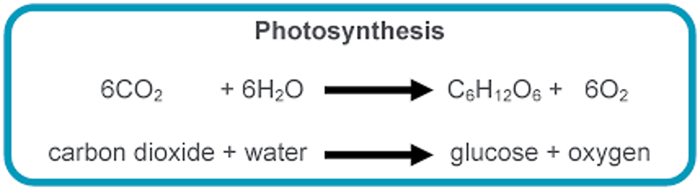<p>Carbon dioxide + water &gt; glucose + oxygen</p><p>6CO2 + 6H2O = C6H12O6 + 6O2</p>