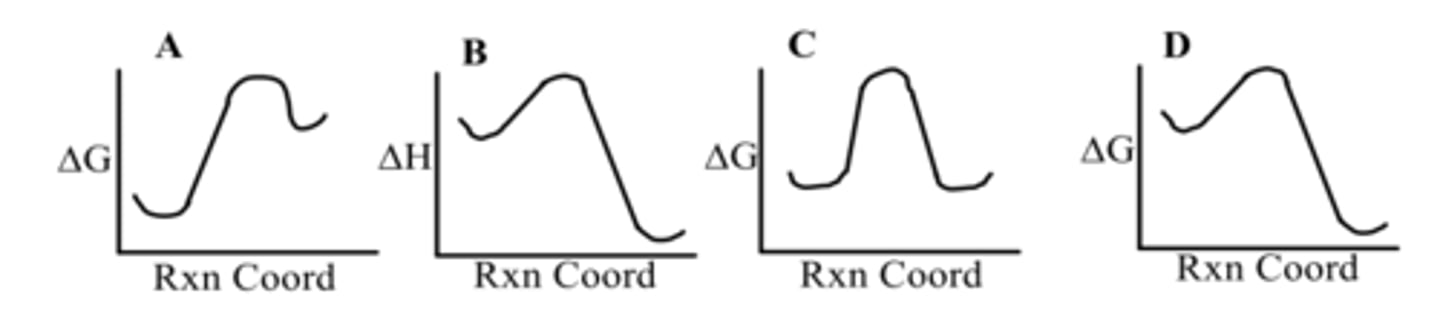 <p>Which diagram shows an exergonic reaction?</p>