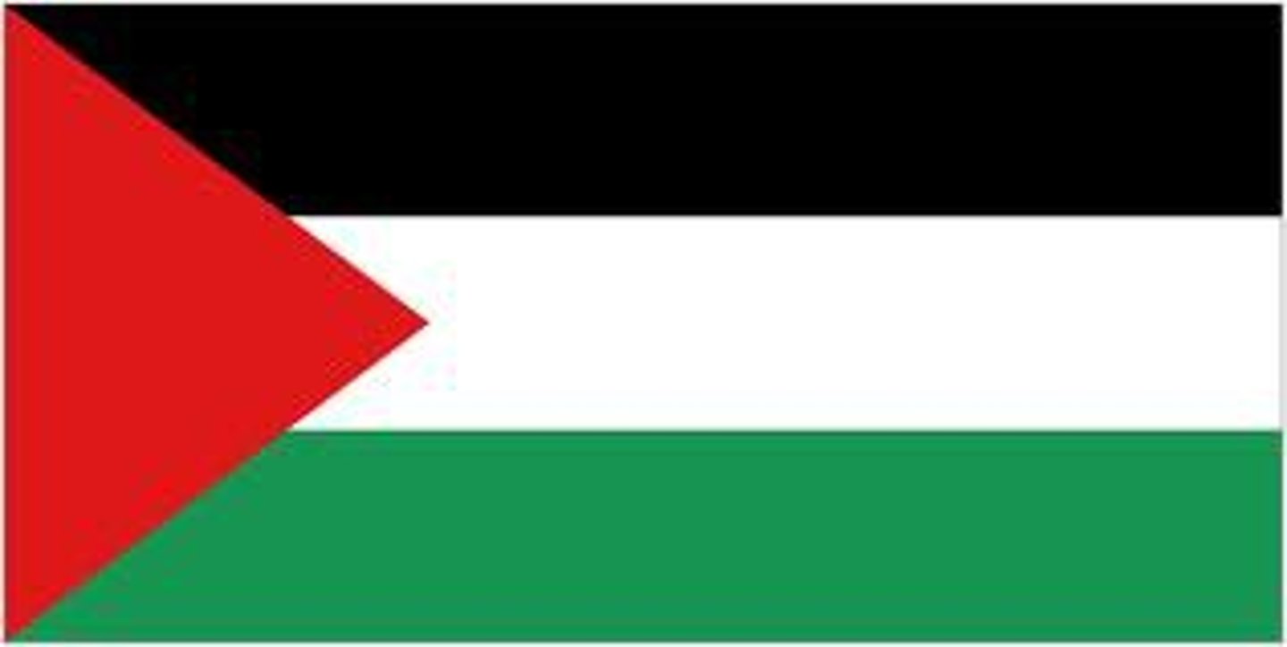 <p>- Jesus was speaking in the context of the Roman rule of Palestine, where resistance to the Romans could lead to crucifixion.</p><p>- Jesus was saying to go the extra mile to stay alive.</p><p>- Instruction to be perfect is a use of hyperbole</p><p>- Jesus is telling people this is the best way of making moral sense of their lives.</p>