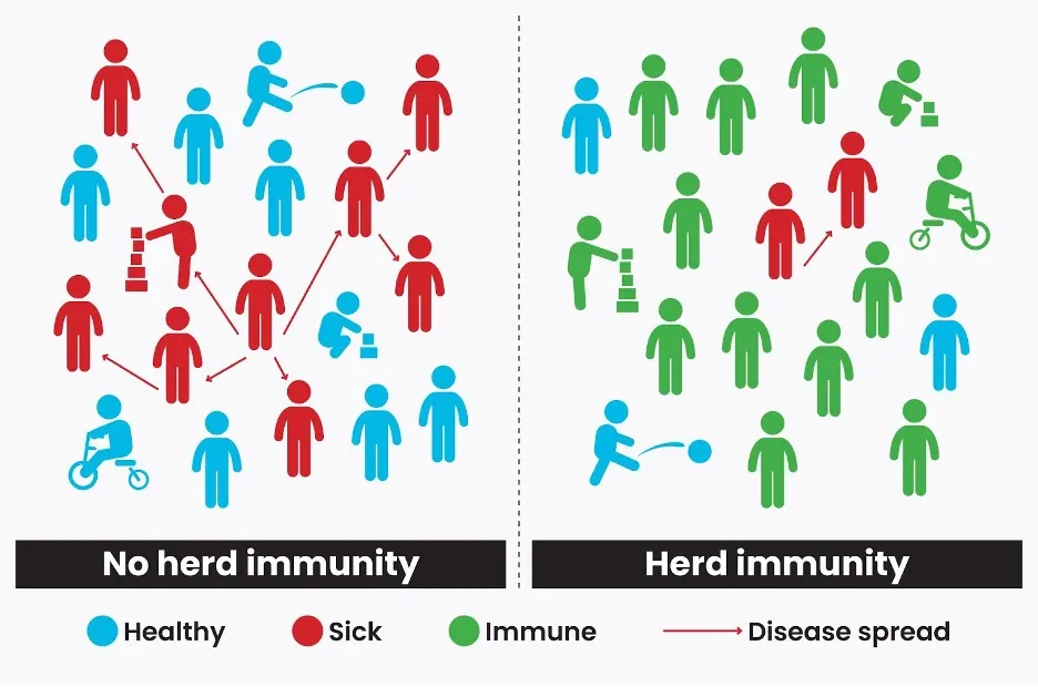 <ul><li><p>Grand herd immunity: when enough people in a population have achieved immunity against a pathogen, making it very difficult to spread the disease</p></li></ul><p></p>