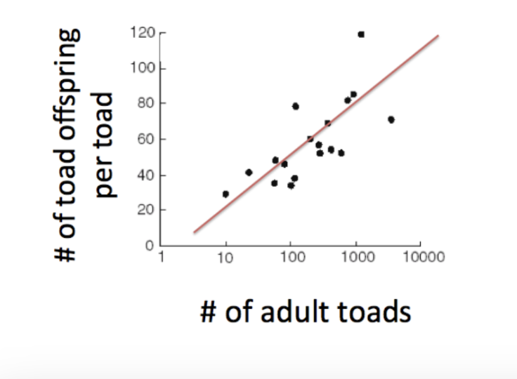 <p>The graph below shows a number of different toad populations, each represented by a black dot. These toad populations provide an example of:</p><p>A. exponential growth</p><p>B. carrying capacity</p><p>C. density dependence</p><p>D. abiotic population regulation</p><p>E. all of the above</p>