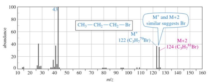 <p><span style="font-size: calc(var(--scale-factor)*12.00px)">79 </span><span style="font-size: calc(var(--scale-factor)*18.00px)">Br (50.5%) and </span><span style="font-size: calc(var(--scale-factor)*12.00px)">81 </span><span style="font-size: calc(var(--scale-factor)*18.00px)">Br (49.5%) M</span><span style="font-size: calc(var(--scale-factor)*12.00px)">+ </span><span style="font-size: calc(var(--scale-factor)*18.00px)">peak and an M+2 peak of equal height</span></p>