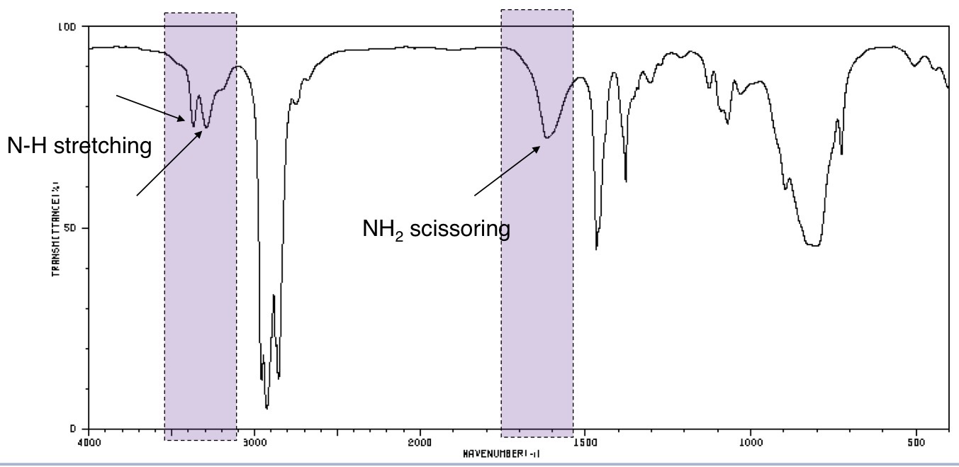 <p>What is the group identified?</p>