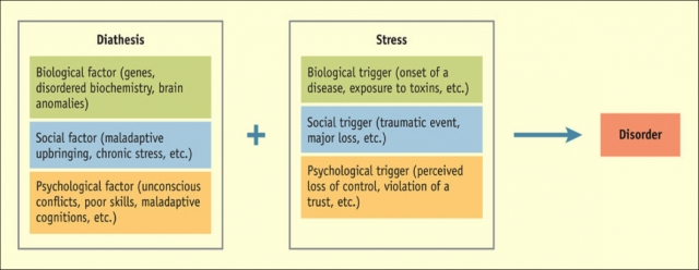 <p>There is some inherited risk (diathesis) that can increase odds of exhibiting a disorder <u>if</u> a person also experiences stressors</p>