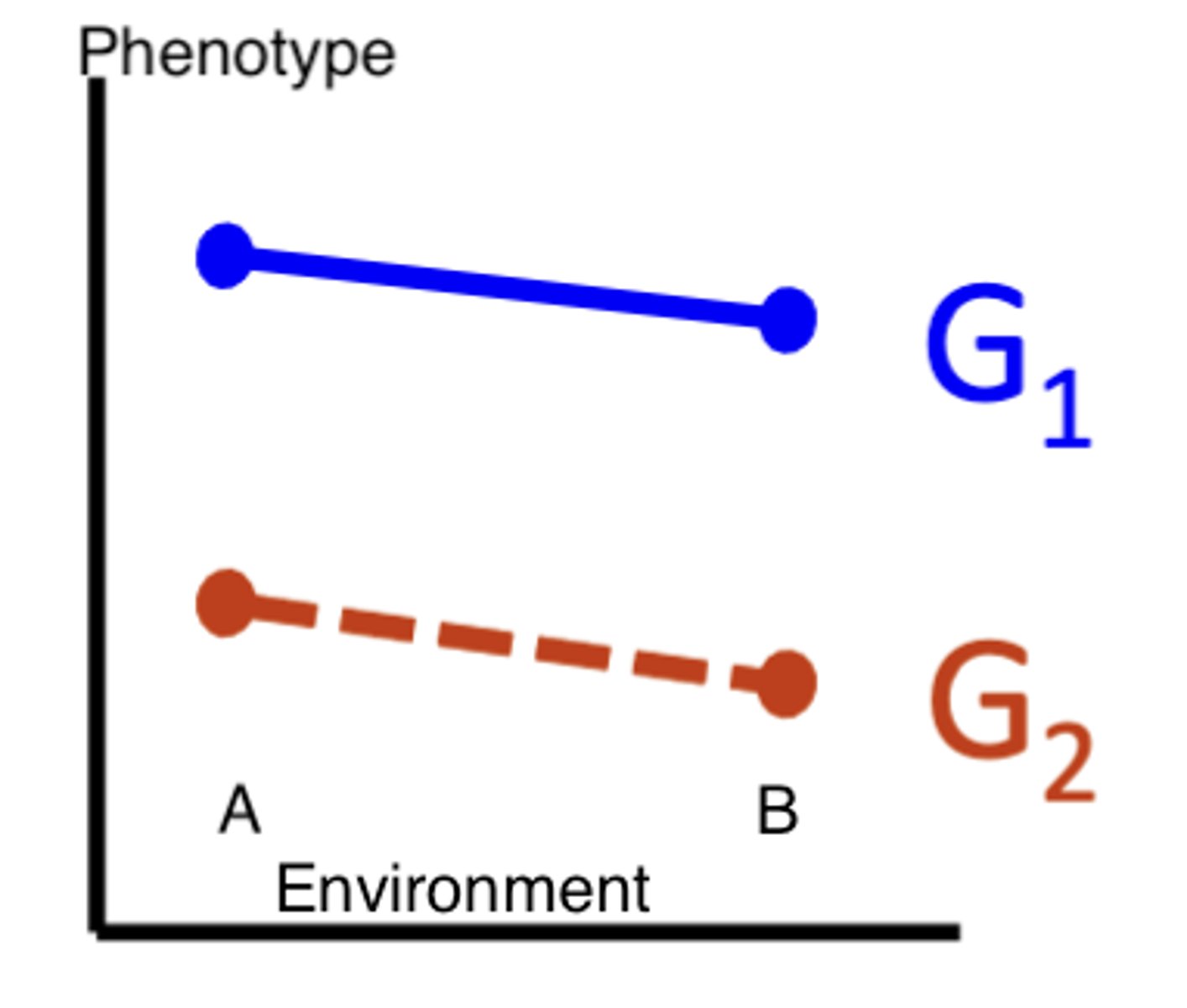 <p>LARGE GENETIC EFFECT</p><p>small environmental effect</p>