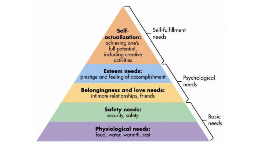 <p>What is Humanism focus, its theories, and what are some main points from Maslow and Rogers?</p>