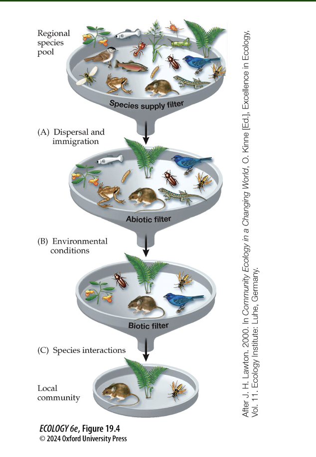 <p>Figure 19.4 – Community Membership: A Series of Filters</p><p>What are the three filters that determine community membership and how do they operate?</p>