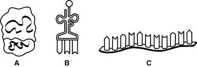 <p><span style="line-height: 1.5;"><span>Which of the following carries an codon?</span></span></p>