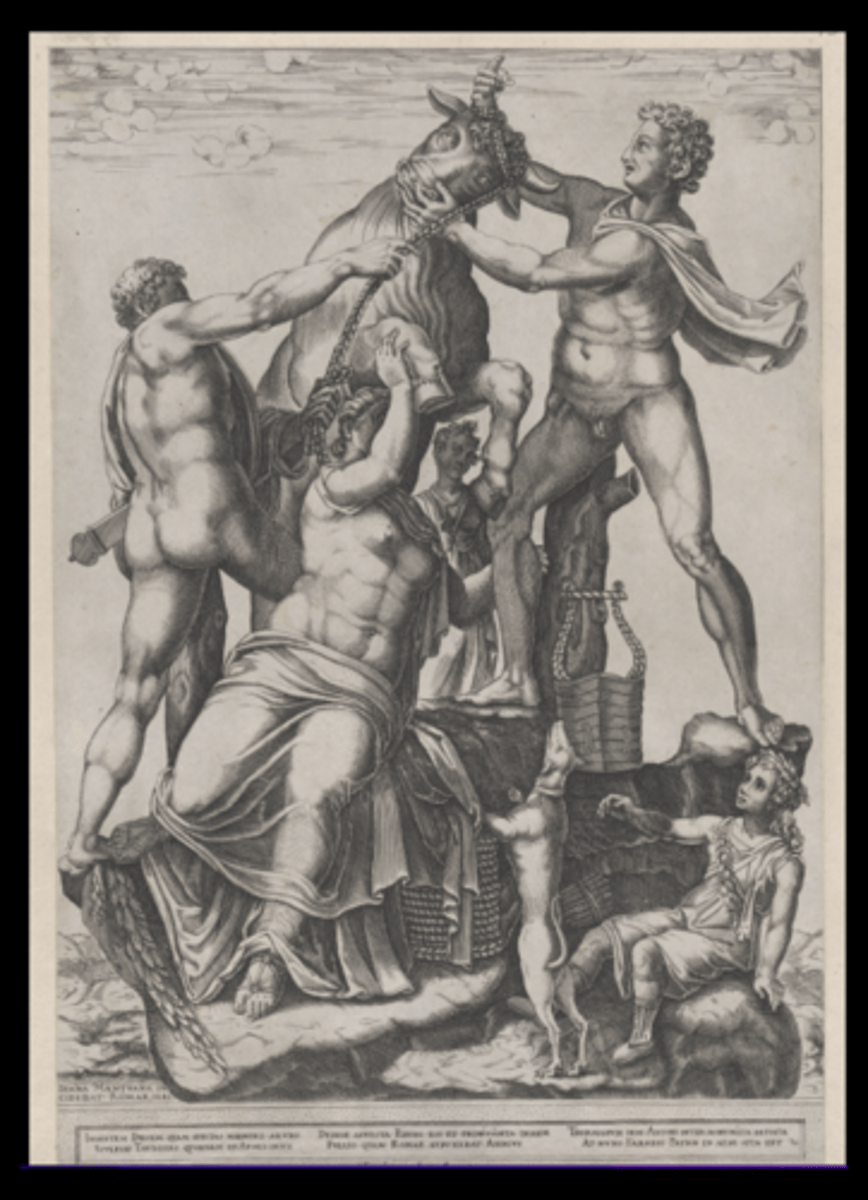 knowt flashcard image