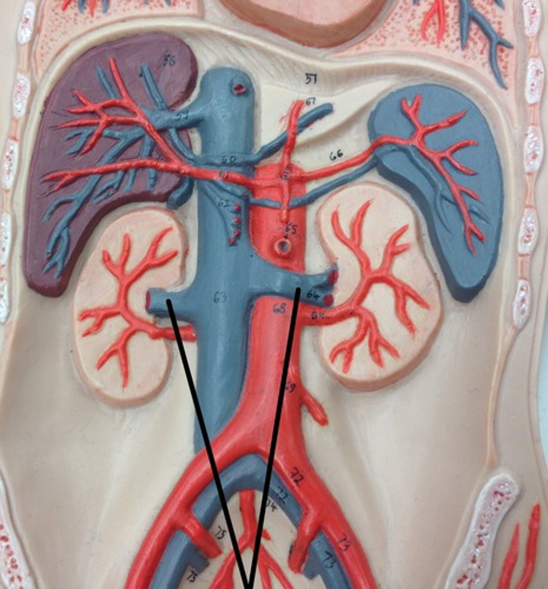 <p>What structure?</p>