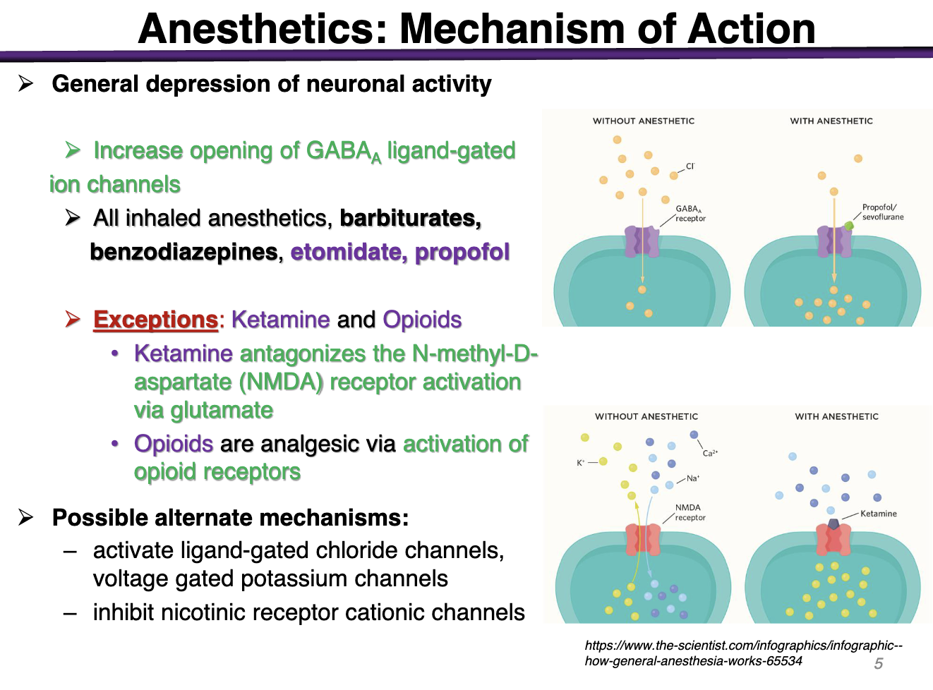 <p>Activation of opioid g-protein receptors</p><p>Net effect is inhibitory </p>