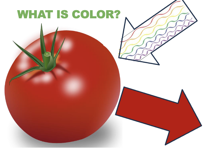 <p>What happens when a wavelength hits the tomato?</p>