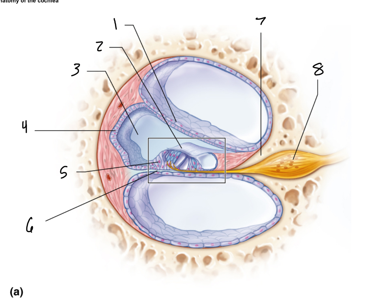 <p>2</p>