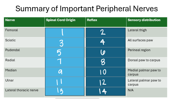 <p>ID: 11 &amp; 12</p>