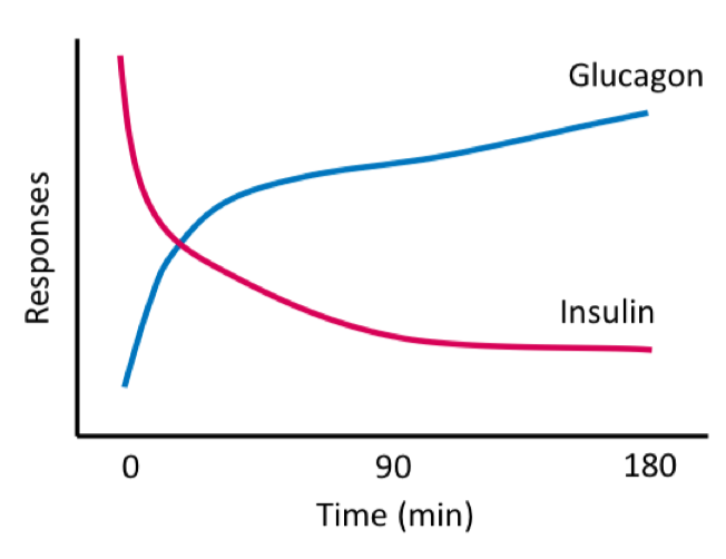 <p>2 hormones respond to the same stimulus</p><p></p><p>They result in opposite responses regarding the <u>mobilization of lower glucose &amp; adipose tissue FFA</u></p><p></p><p>aka <strong>Counter-regulating hormones</strong></p>