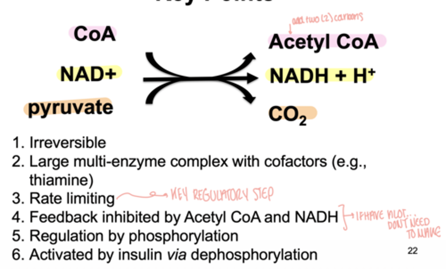 <p>- irreversible</p><p>- large multi- enzyme complex w cofactors</p><p>- rate limiting/ key regulatory step</p><p>- feedback inhibited by NADH & acetyl- CoA</p><p>- regulated by phosphorylation</p><p>- activated by insulin via dephosphorylation</p><p>CoA → Acetyl-CoA</p><p>NAD+ → NADH + H⁺</p><p>pyruvate → CO₂</p>
