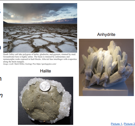 <p><strong>evaporites</strong></p>