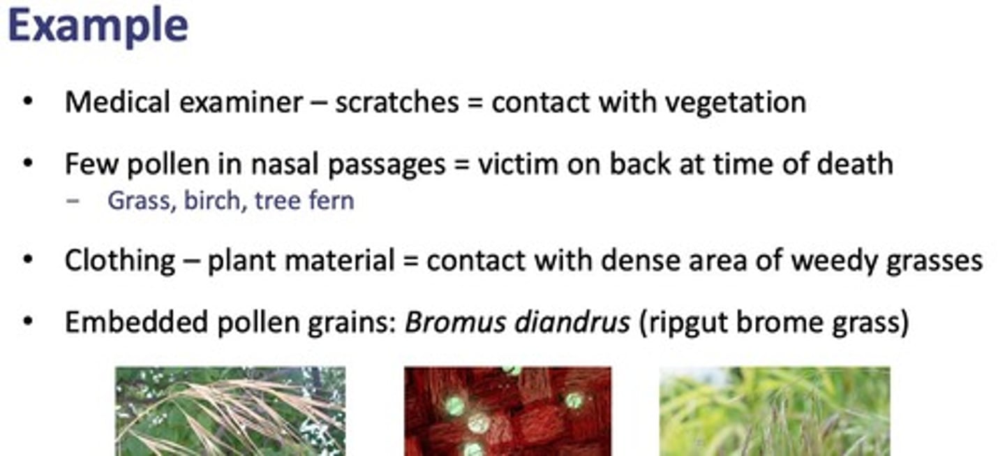 <p>It can indicate the season of death and other environmental factors.</p>