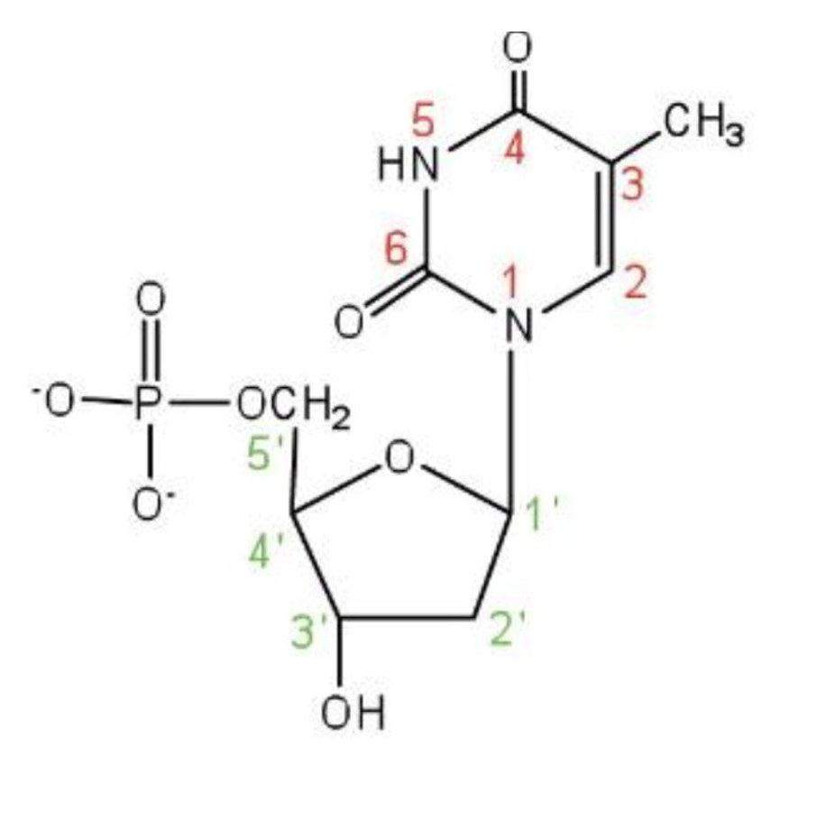 <p>What is this?</p>