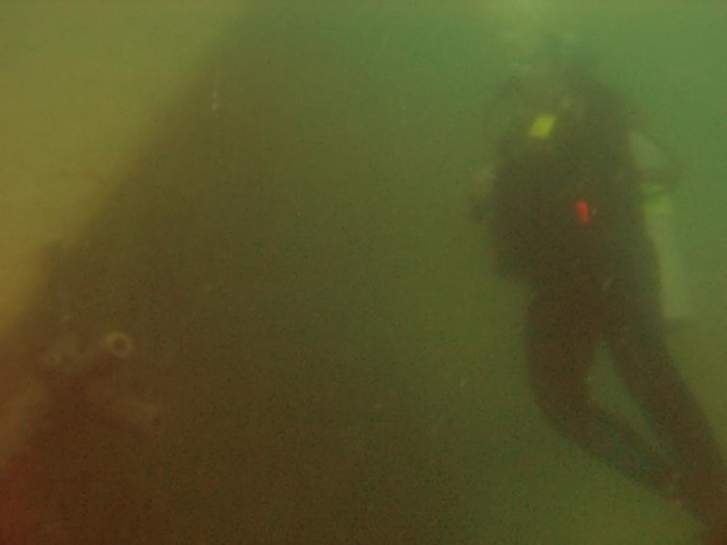 <p>(adj.) dark and gloomy, obscure; lacking in clarity and precision</p><p>SYN: dim, cloudy</p><p>ANT: clear, transparent, lucid, limpid</p>