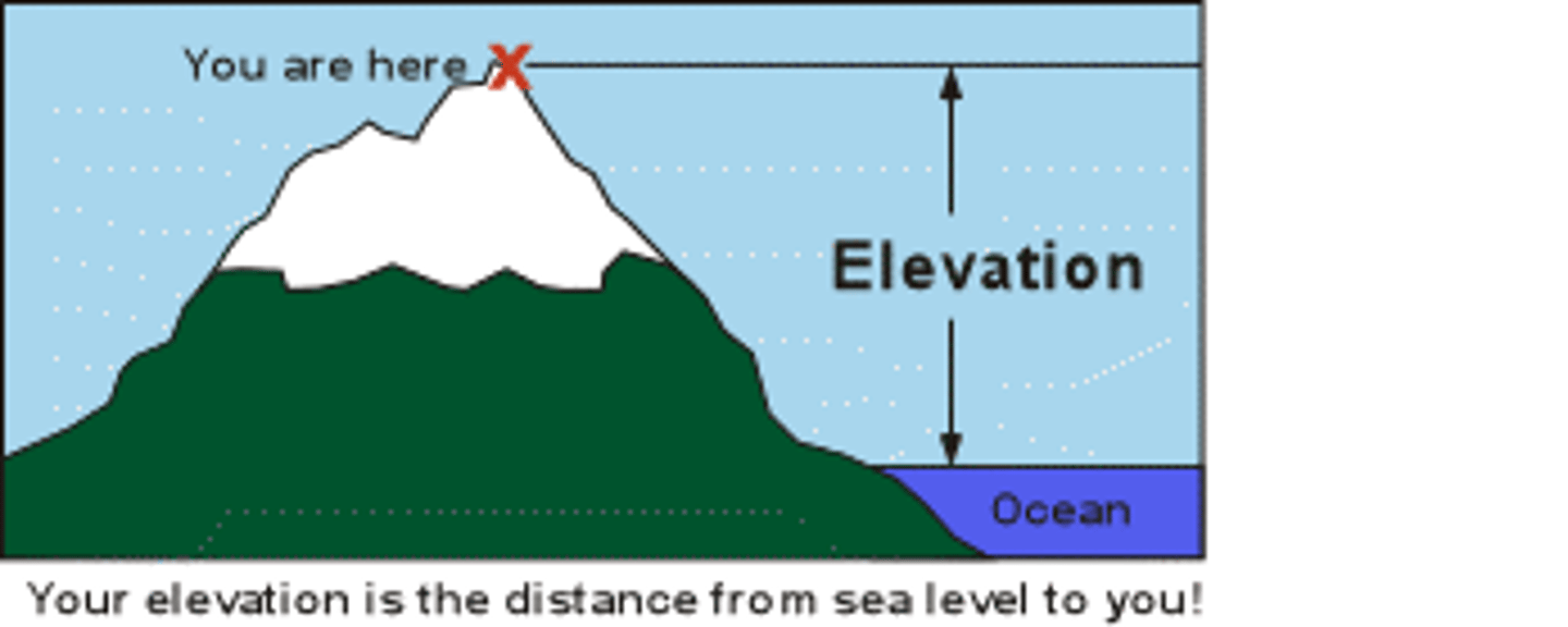 <p>Height above sea level.</p>