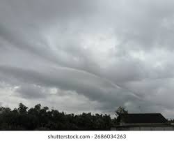 <p>Layer/Blanket</p>