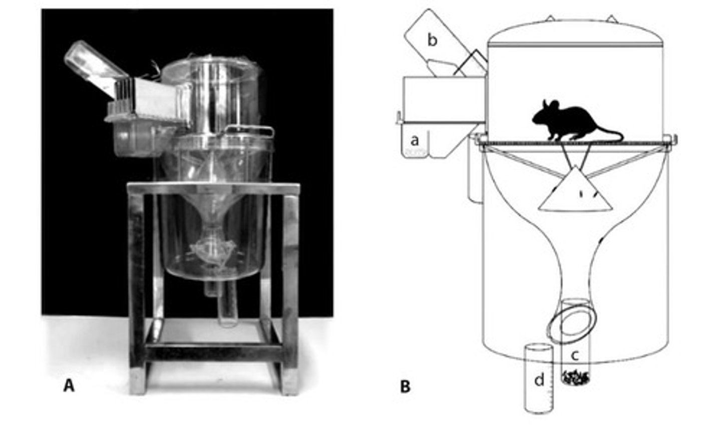 <p>To collect feces and urine, with food and water provided outside the cage.</p>