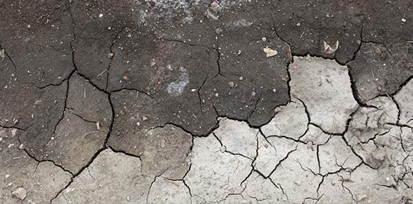 <p><strong> the process of excess water, through rainfall or irrigation, taking water-soluble nutrients out of the soil</strong>.</p>