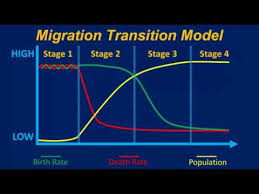 <p><span>Migration Transition Model</span></p><p><br></p>
