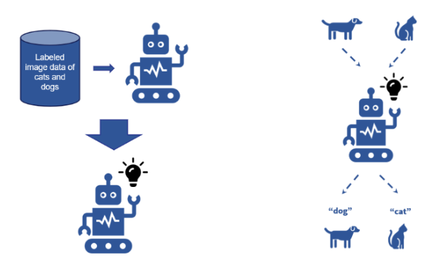 <ul><li><p><span style="background-color: transparent;">Observes the <strong><u><mark data-color="#ffafaf" style="background-color: rgb(255, 175, 175); color: inherit;">labeled data and learns a function</mark></u></strong> or <strong><mark data-color="#a4ddff" style="background-color: rgb(164, 221, 255); color: inherit;">builds a model based on that data</mark></strong></span></p></li><li><p><span style="background-color: transparent;">Uses the function or model to process input data and give an output</span></p></li></ul><p></p>