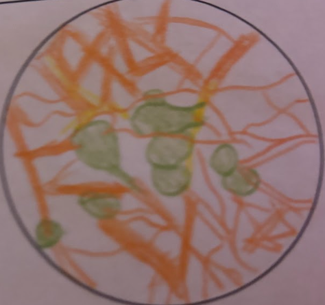 <p>Single process emerging from the cell body. Then it divides into branches and the body has a spherical shape.</p>