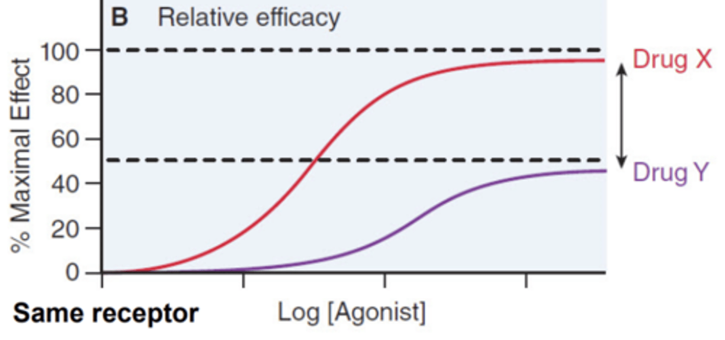 <p>- response</p><p>- maximal height</p>