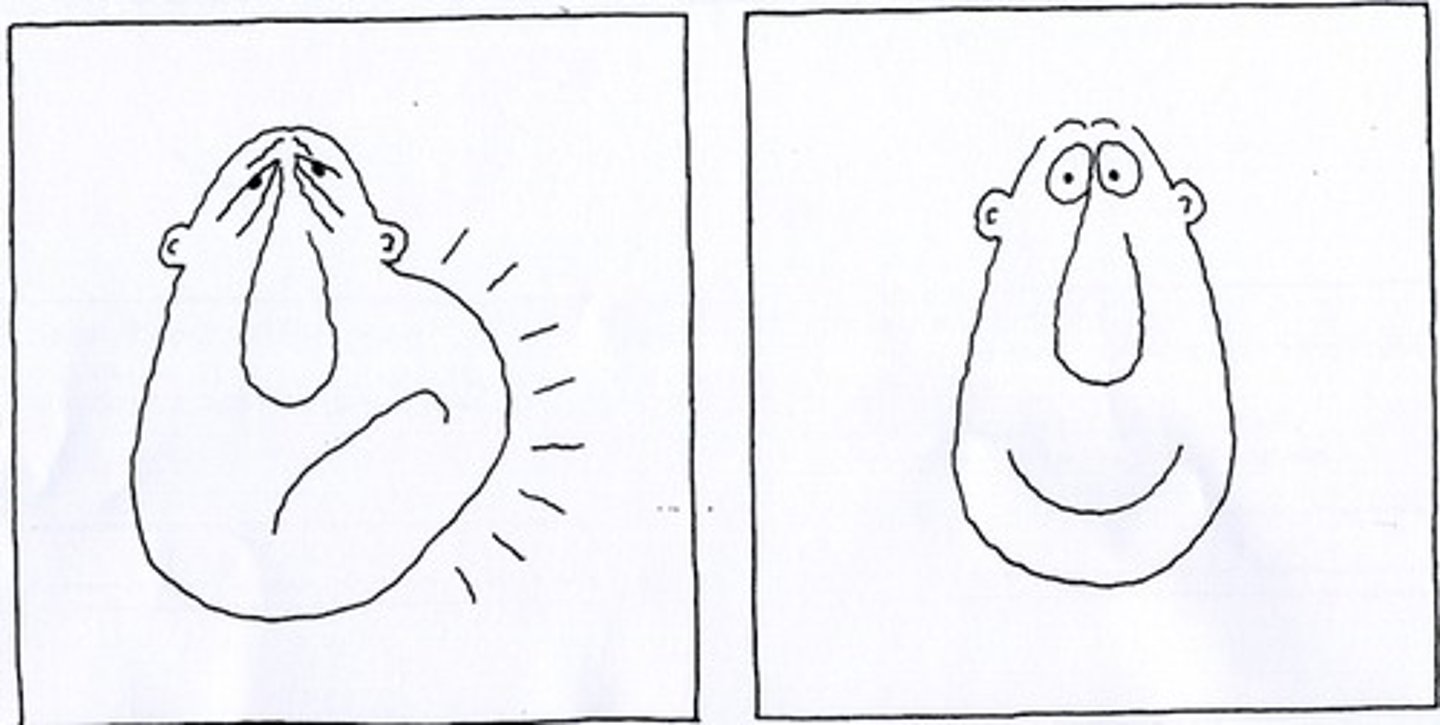 <p>inflamation: swelling, redness, heat</p><p>complement: proteins punch holes in pathogens</p><p>fever: raises body temp to slow down pathogens</p>