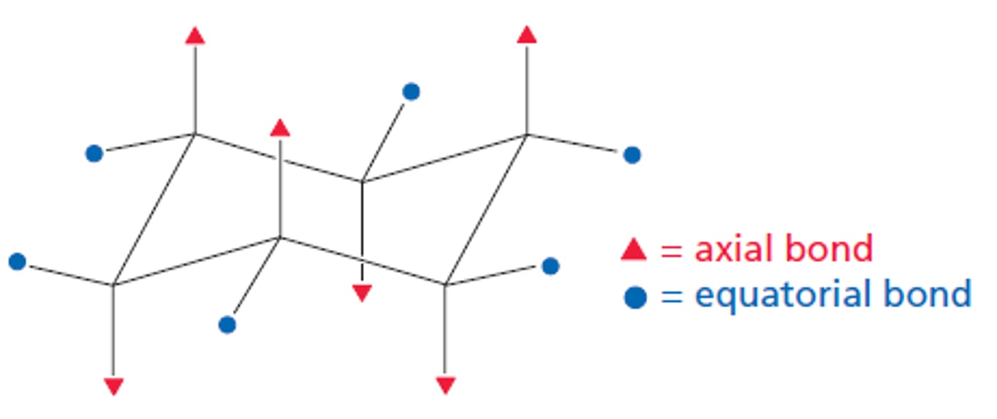 <p>strain free 3-D shape for cyclohexanes</p>