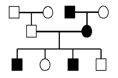 <ul><li><p>vertical degree pattern with multiple generations affected</p></li><li><p>each affected person normally has 1 affected parent</p></li><li><p>males and females are equally affected and likely to pass the condition on</p></li><li><p>variable expressivity and age-related penetrance</p></li></ul><p></p>