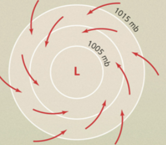 <p>Low pressure air rises and moves in a counterclockwise direction, fueled by warm and moist air.</p>