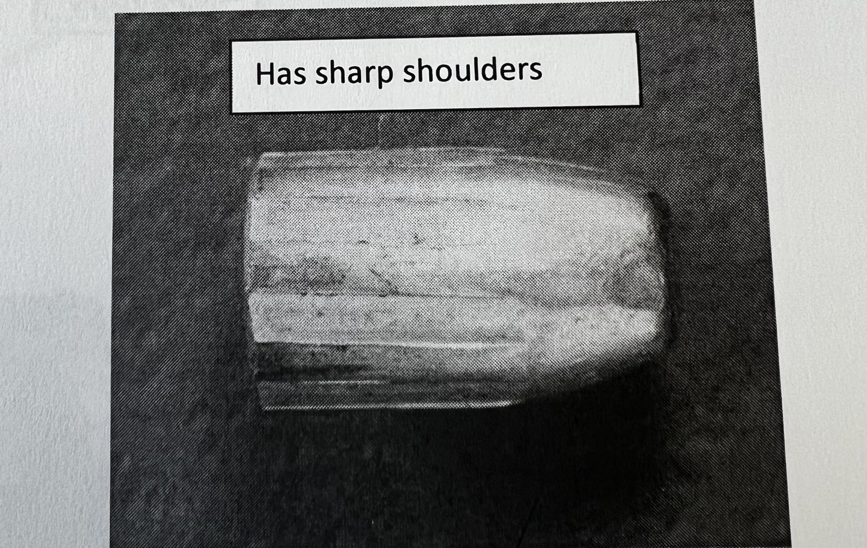<p>Rifling with sharp, defined edges between that land and groove</p>