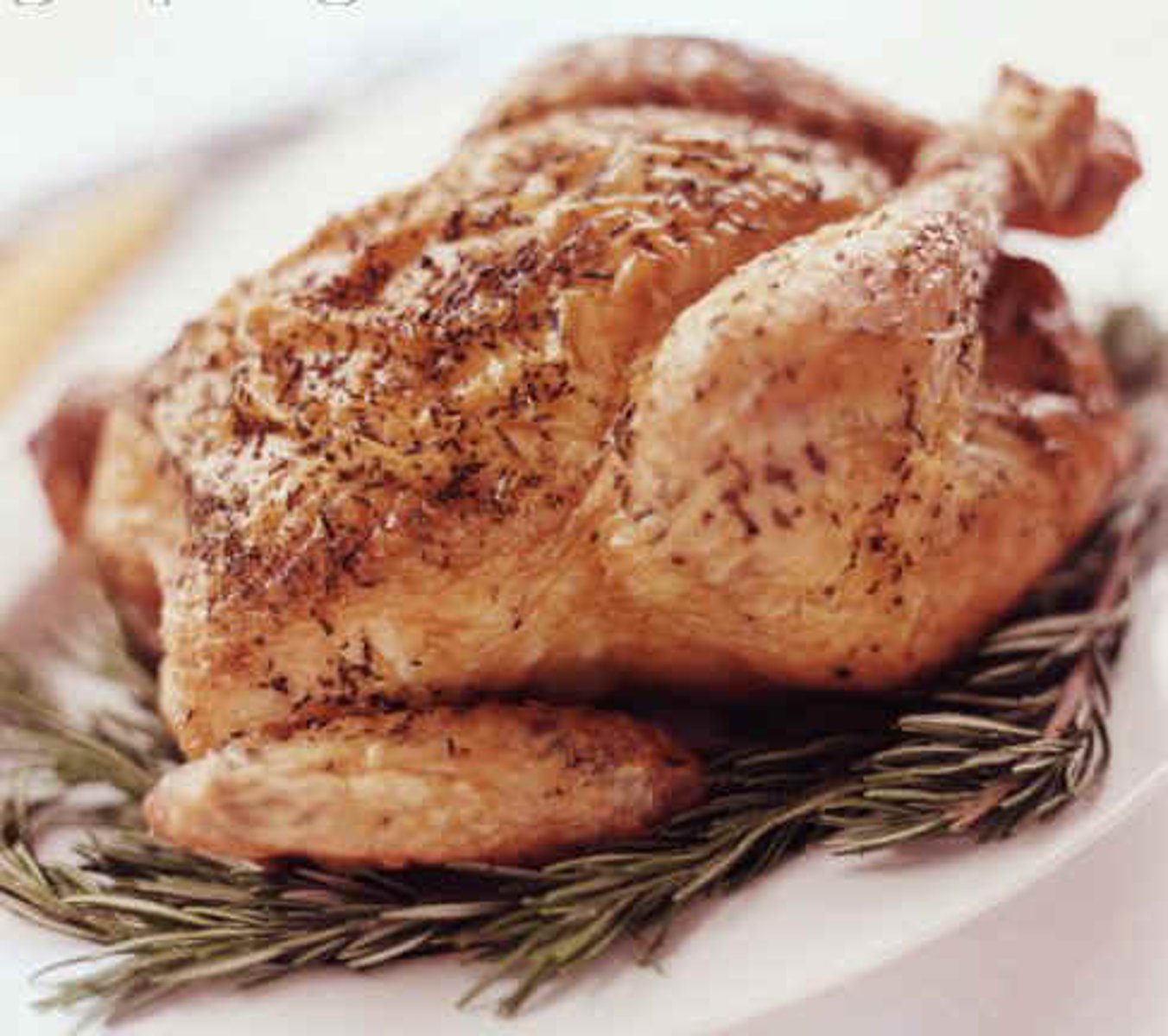<p>Chicken</p>