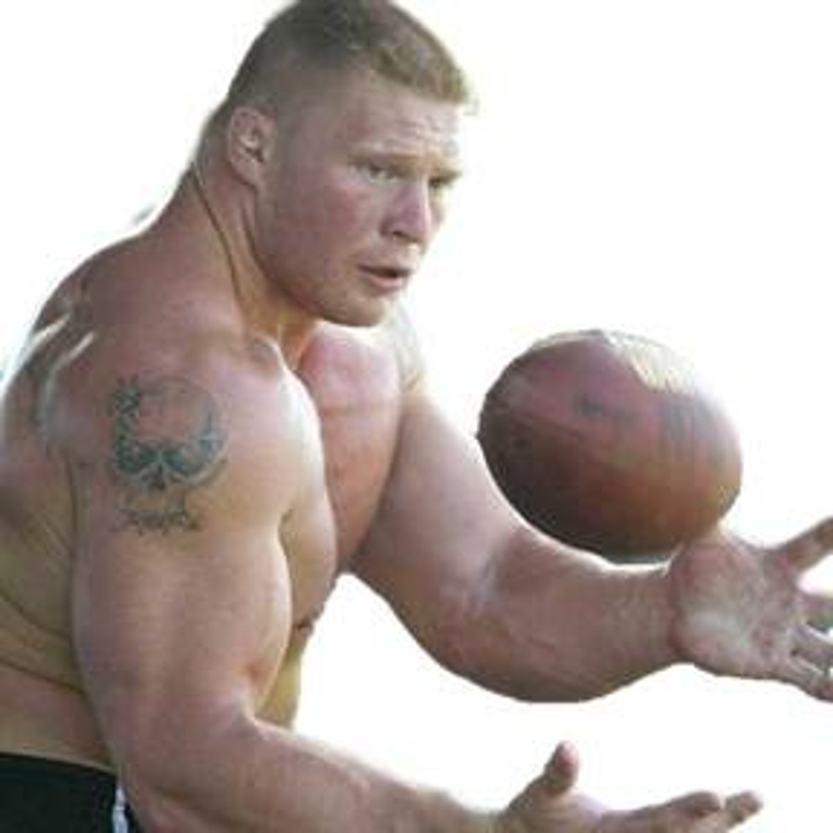 <p>Thấp nhưng vạm vỡ</p>