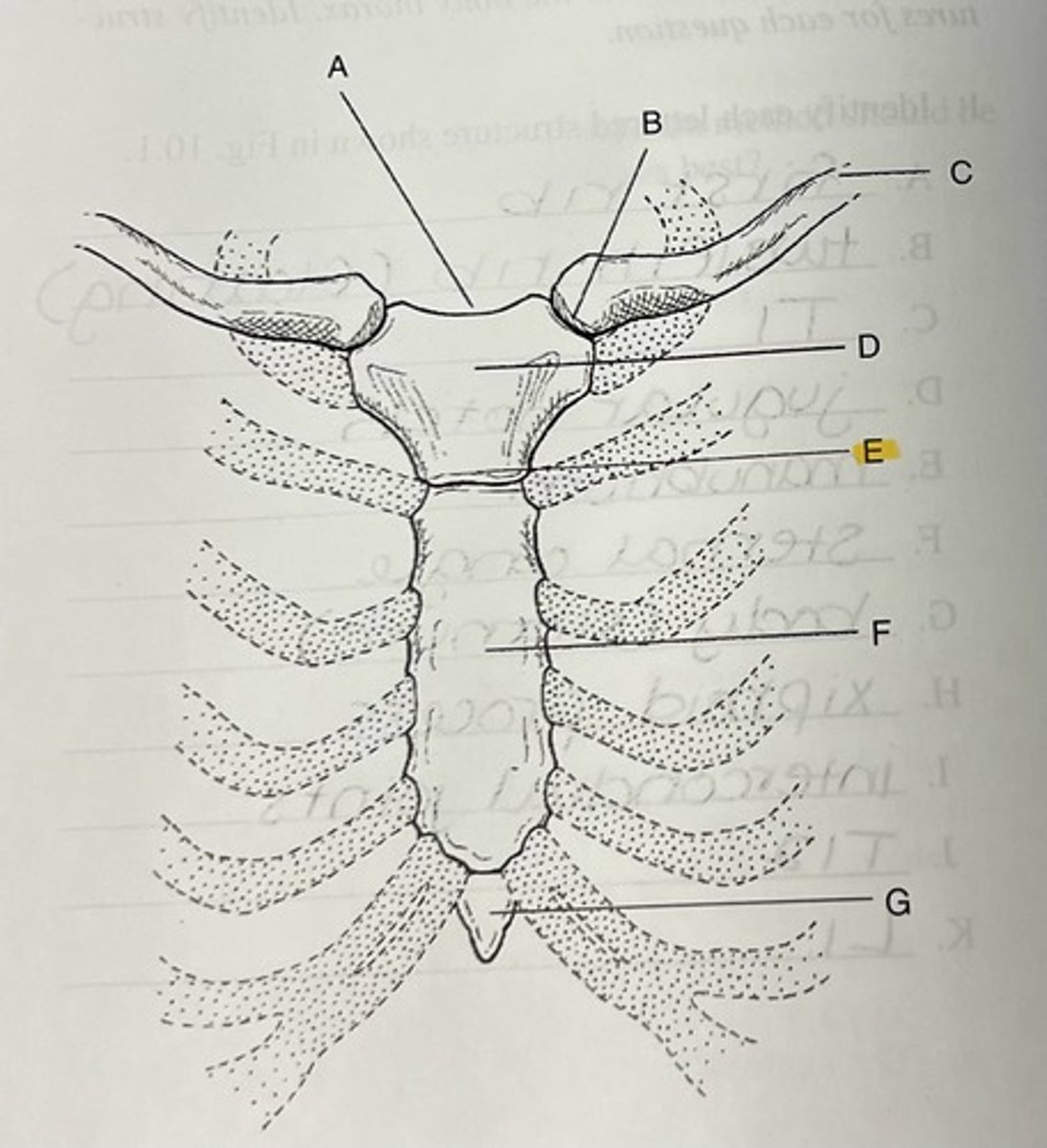 knowt flashcard image