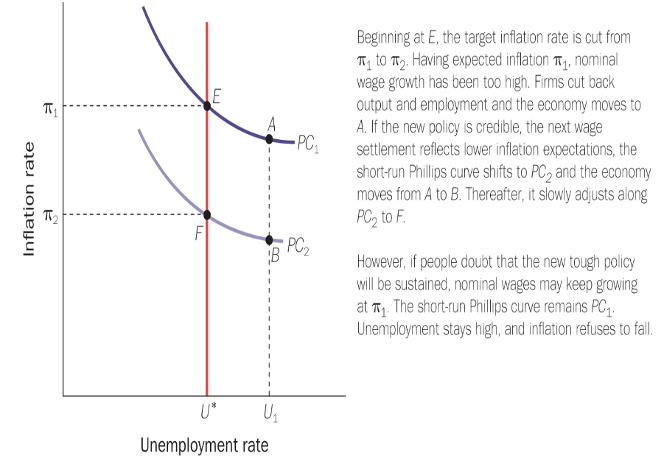 <p>The speed of adjustment along the Phillips Curve depends on two key factors:</p><p>Wage and price flexibility:</p><p>The more flexible wages and prices are, the faster inflation expectations adjust, reducing the short-run trade-off.</p><p>Monetary policy response:</p><p>If the central bank responds quickly to demand shocks (e.g., by adjusting interest rates), the economy can stabilise inflation and output more rapidly.</p><p></p><p>E.G. If a country with high inflation adopts a lower inflation target, the central bank must tighten monetary policy (raise interest rates).</p><p>This may initially raise unemployment, but as inflation expectations fall, the economy can return to long-run equilibrium at lower inflation.</p>
