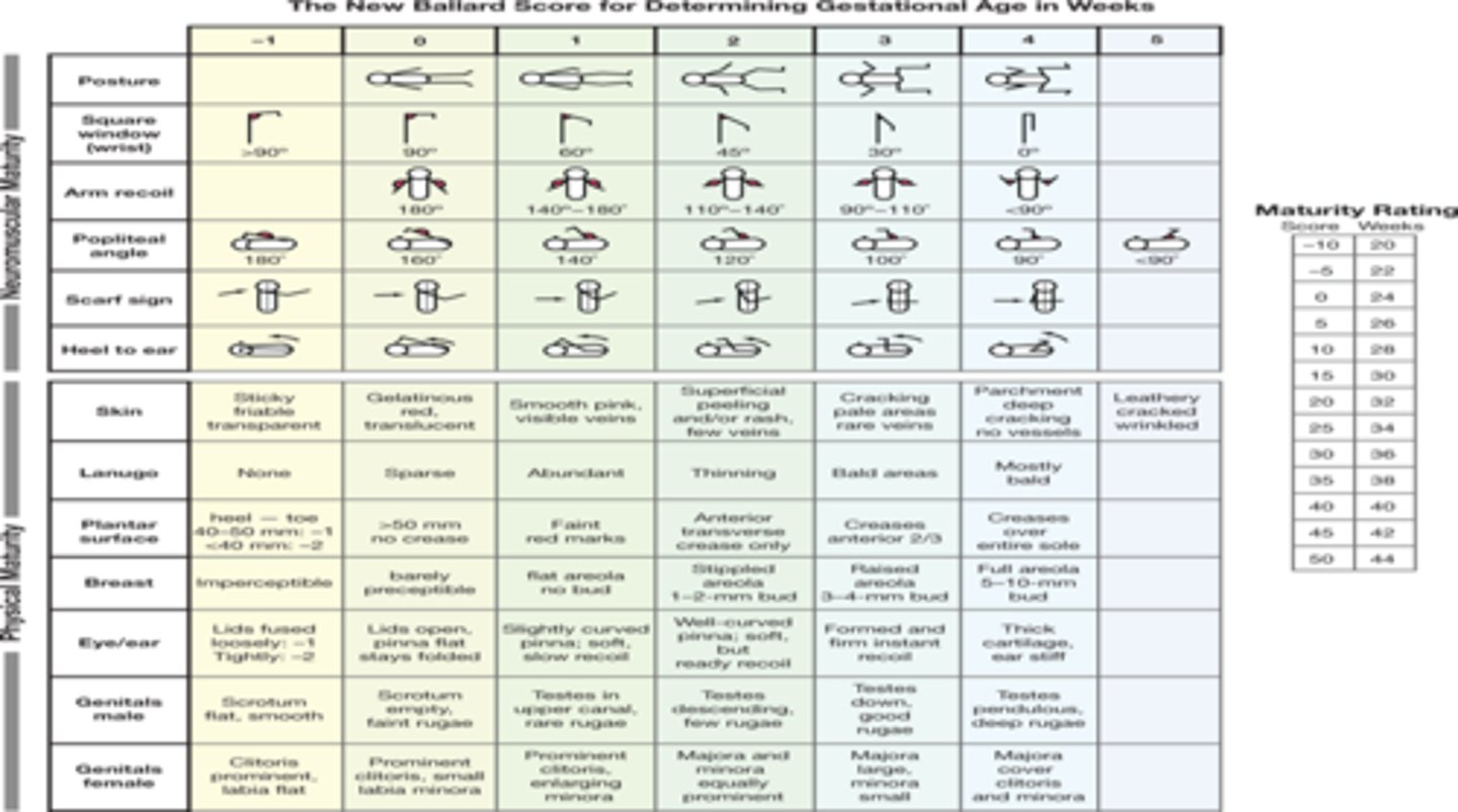 <p>Ans: (C)</p><p>A birth weight of 1450g is within the normal (within the 10-90th percentile) of a 30-week gestation baby. Arms that do not recoil and the characteristic flat pinna are also apparent at this age.</p>